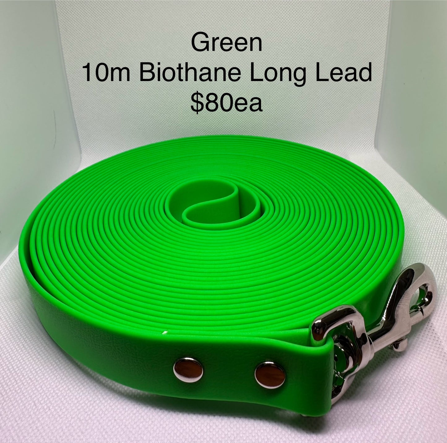 10m Biothane Long Lead