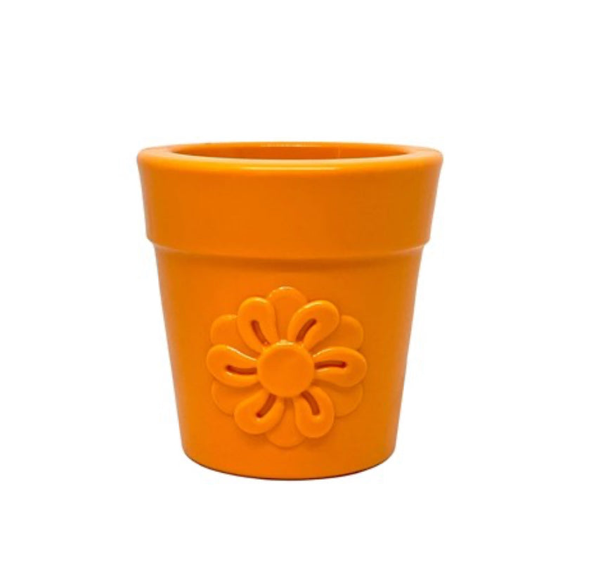 Sodapup Flower Pot