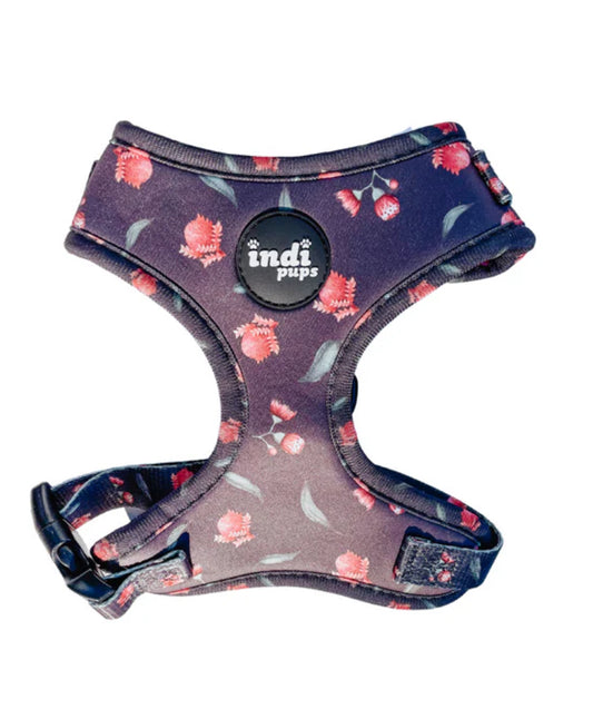 Banksia Bloom Harness