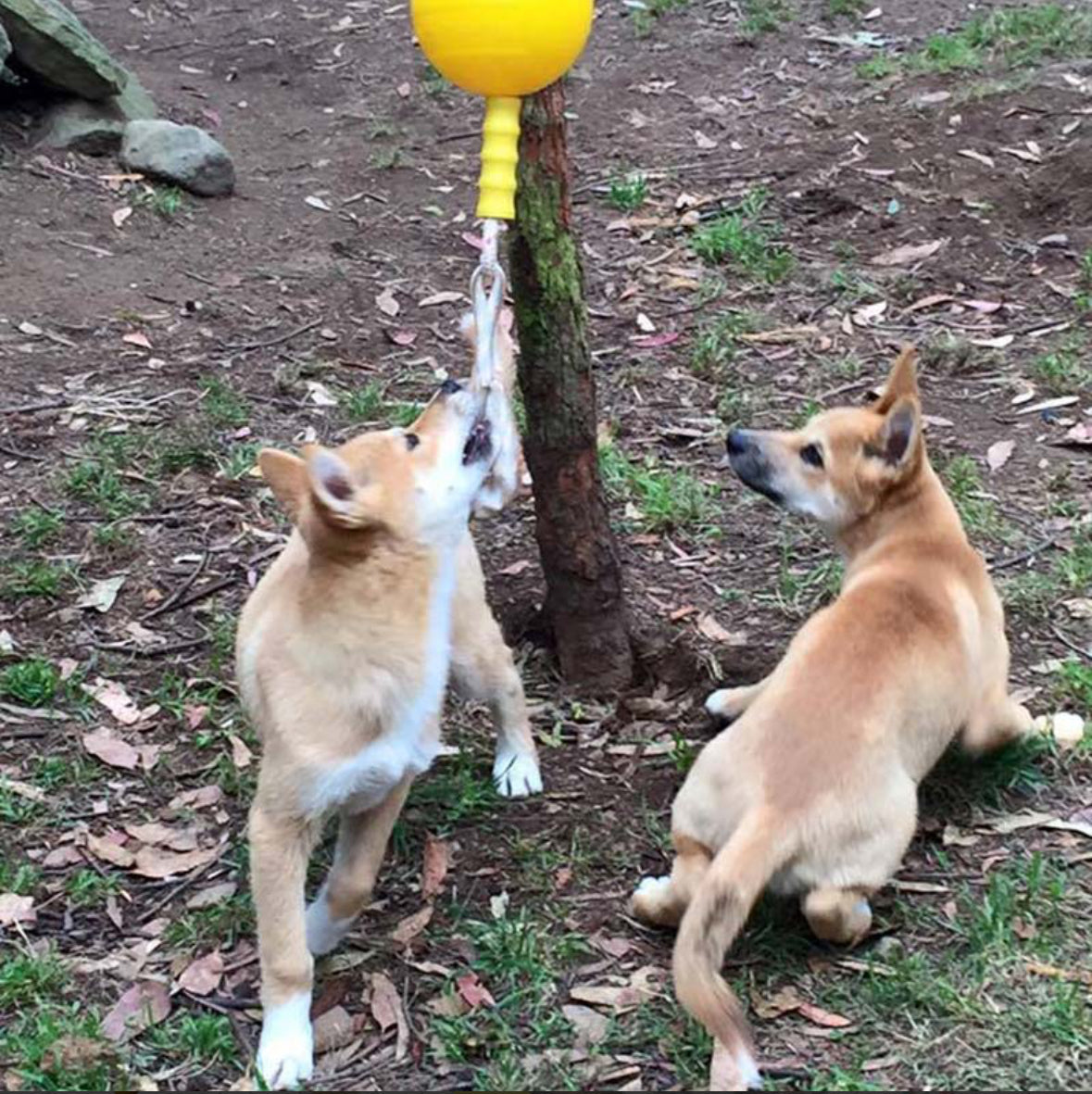 Home Alone Tug Toy