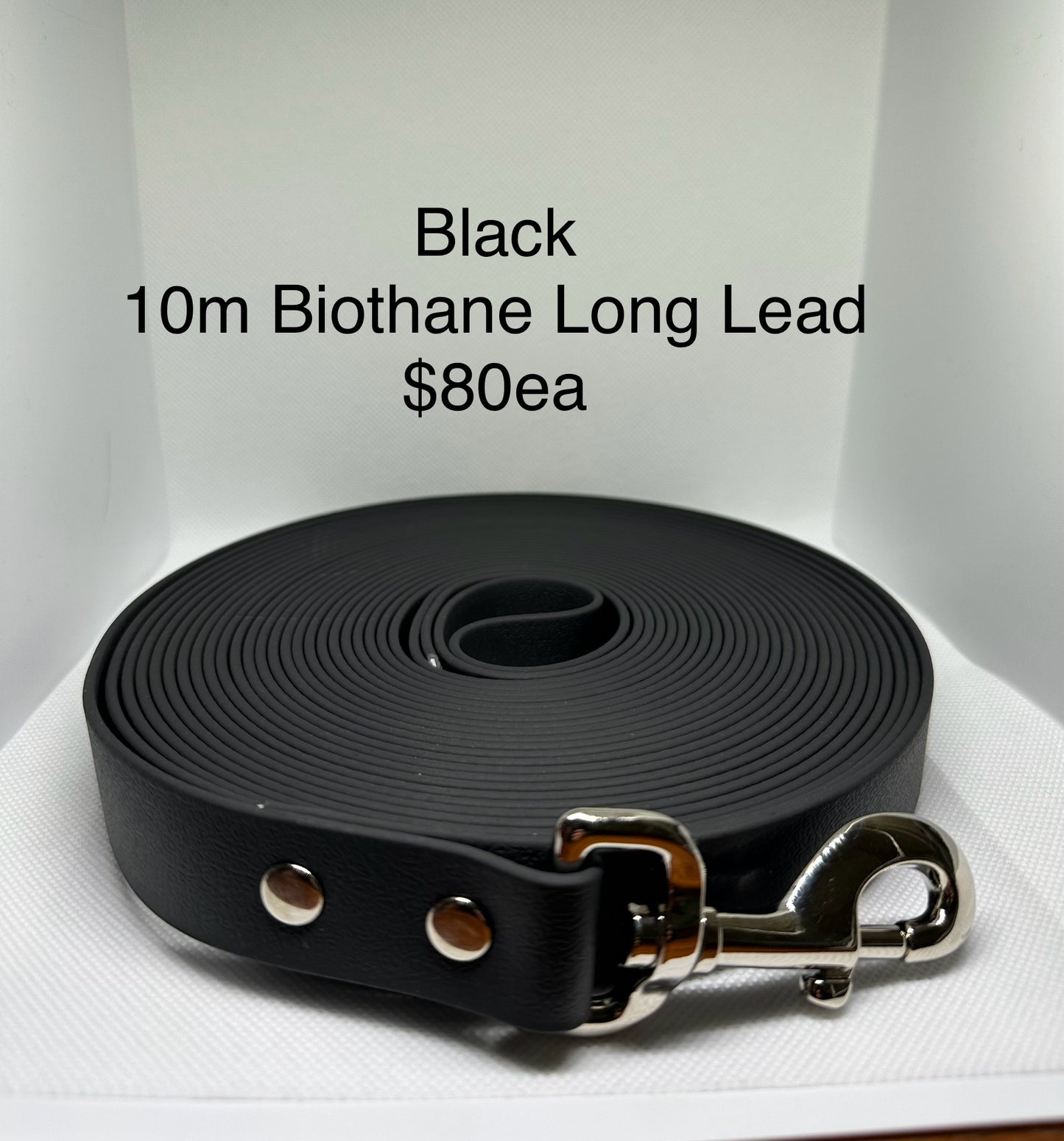 10m Biothane Long Lead