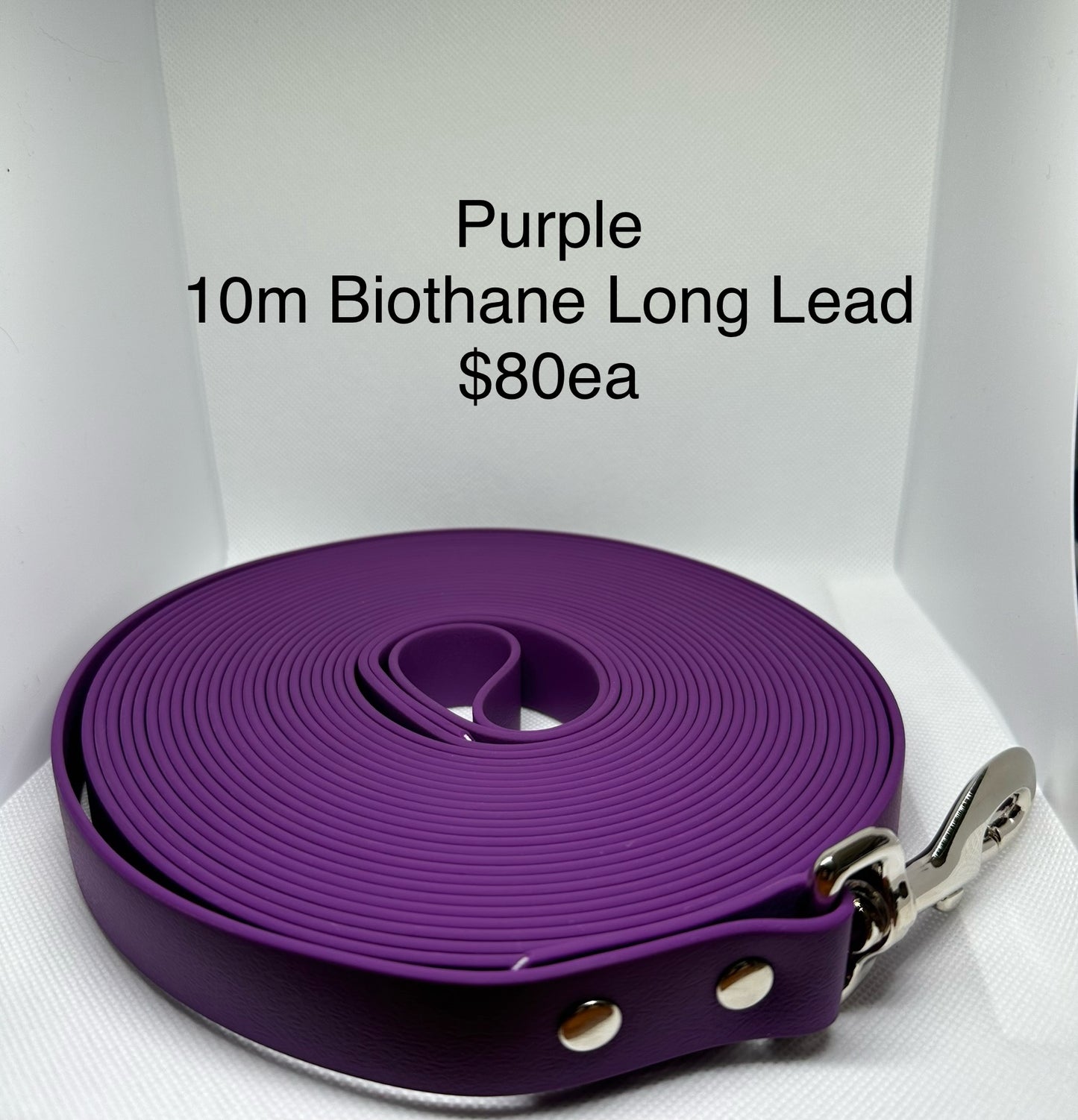 10m Biothane Long Lead