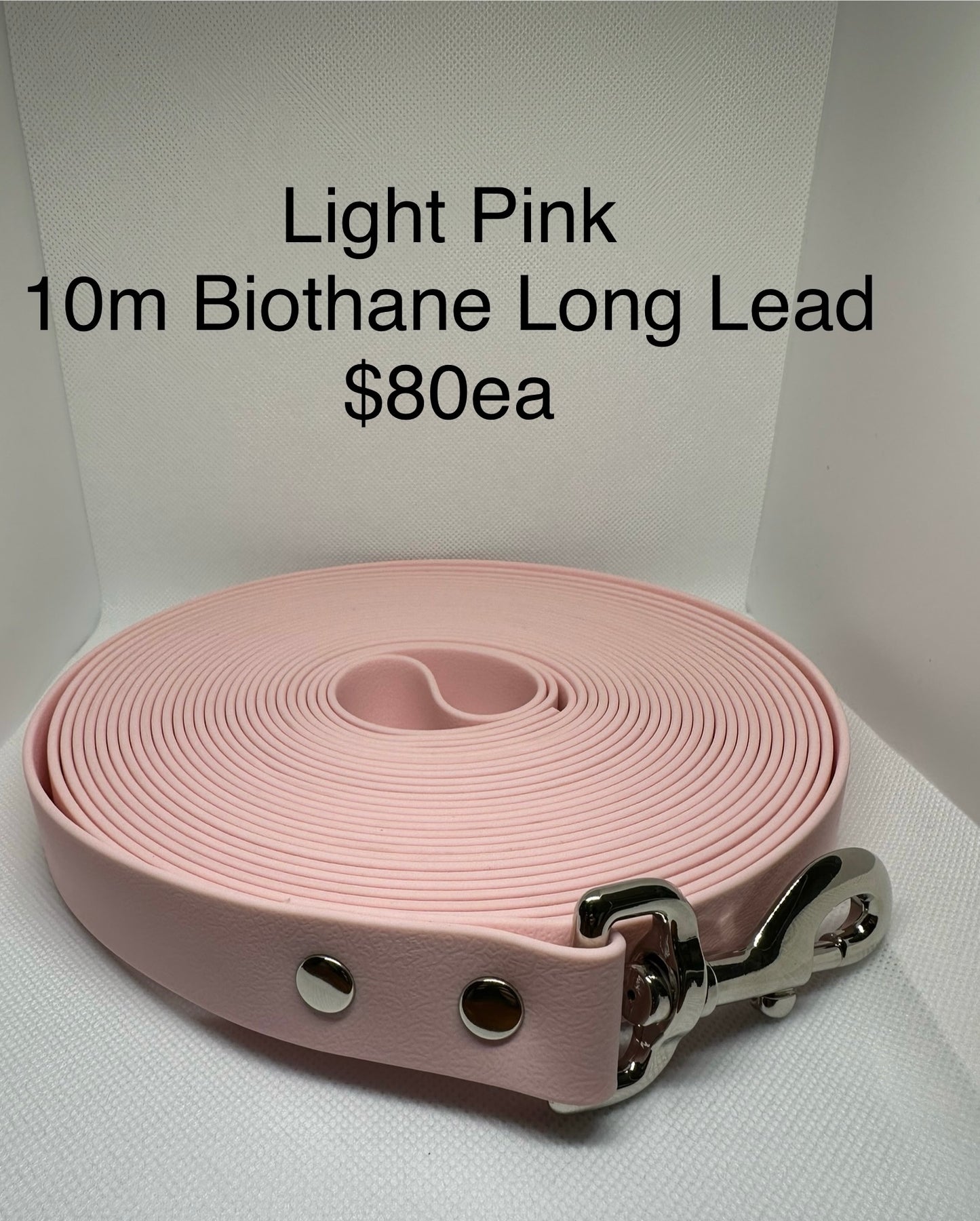 10m Biothane Long Lead