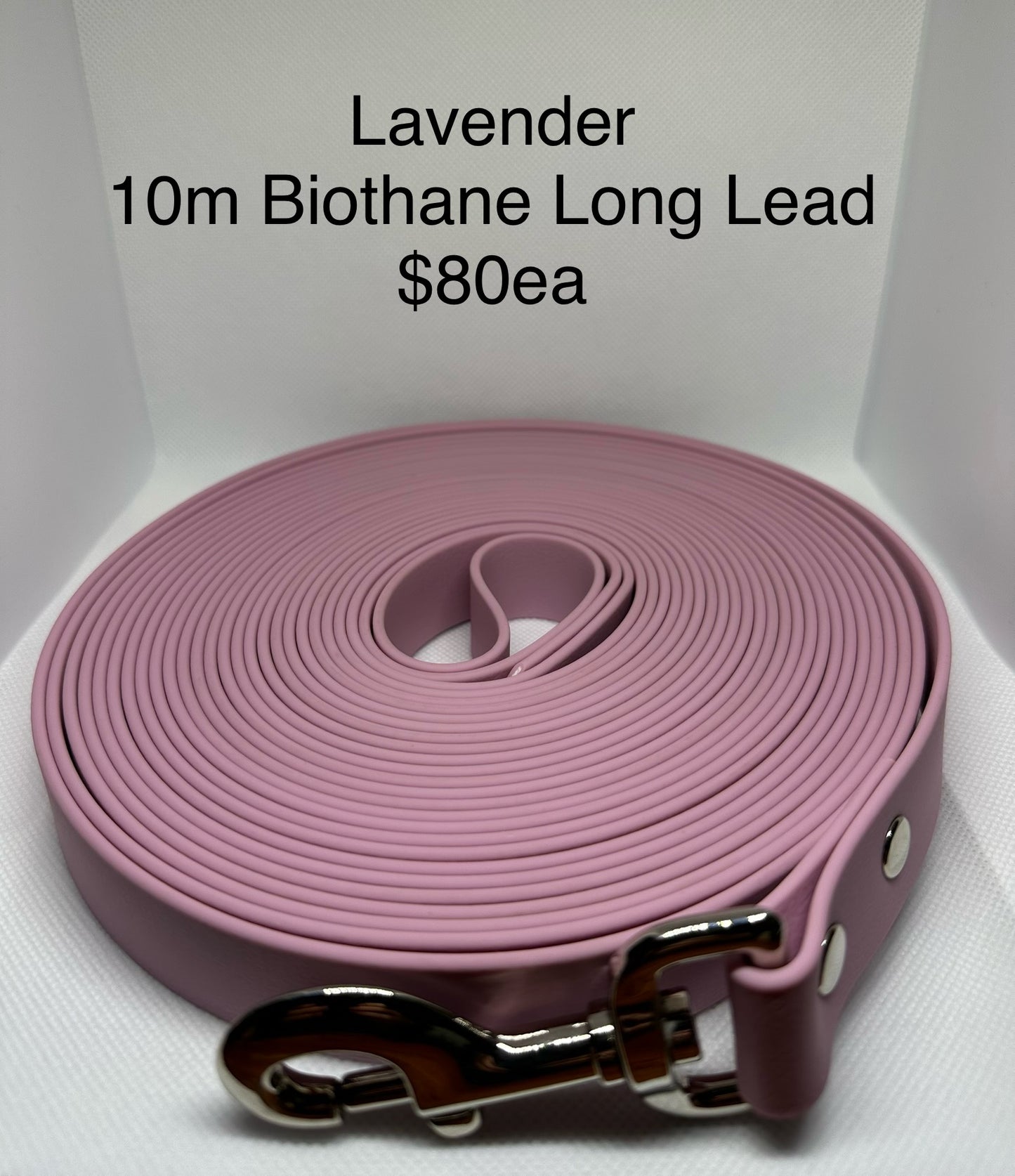 10m Biothane Long Lead