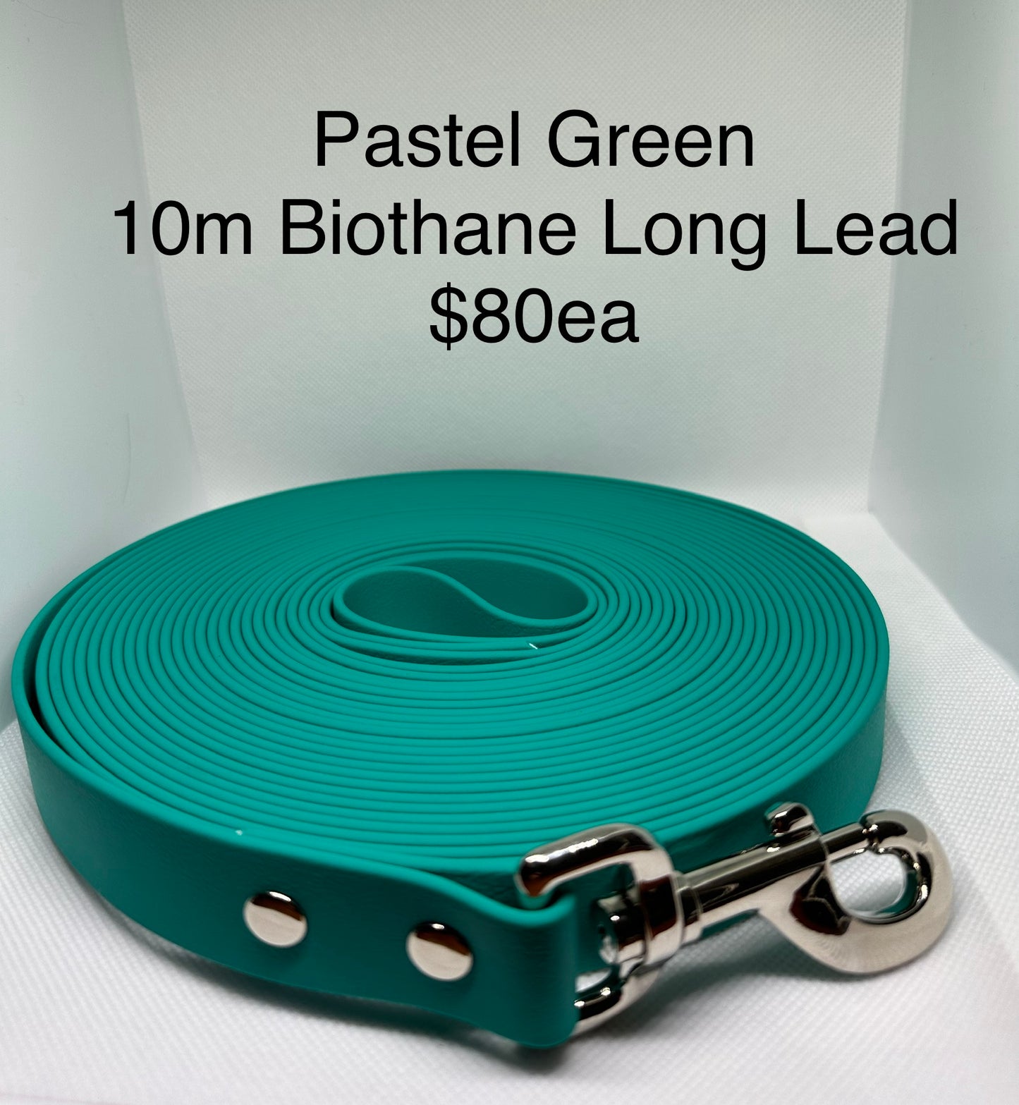 10m Biothane Long Lead