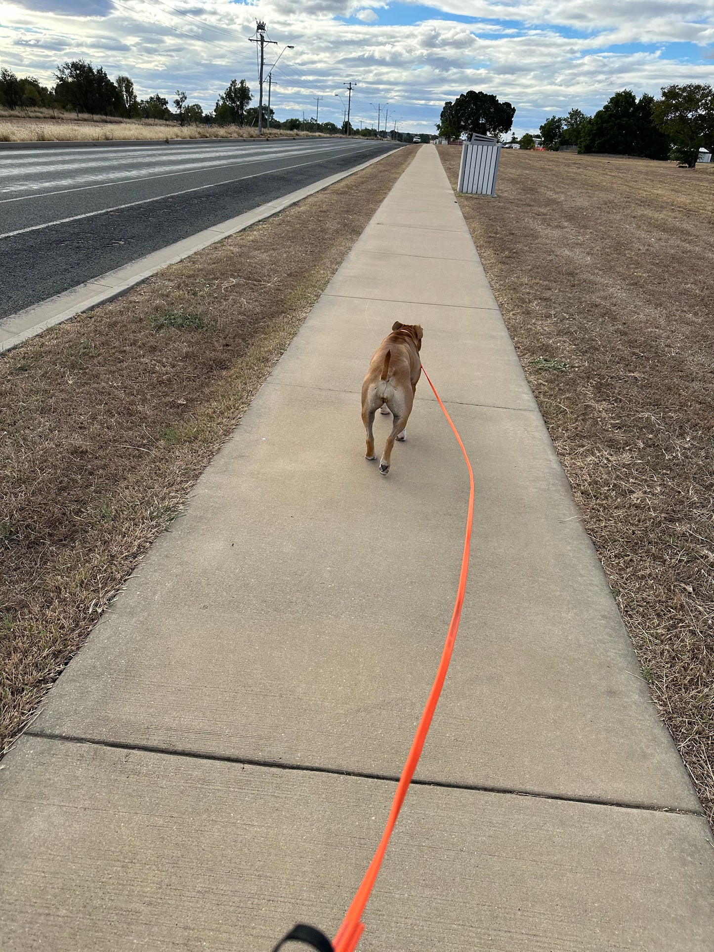 3m thin long lead