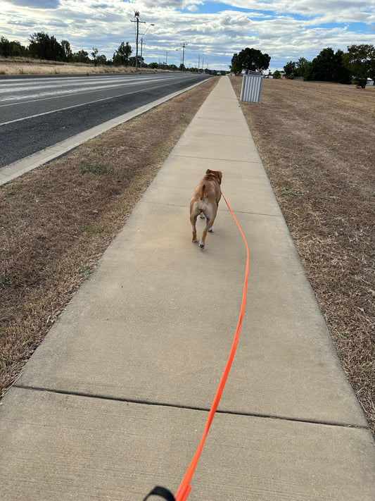 3m thin long lead