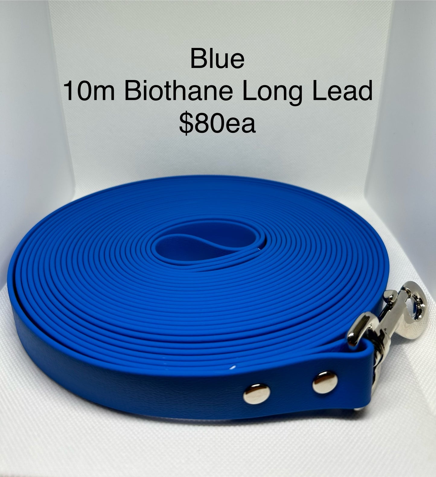 10m Biothane Long Lead