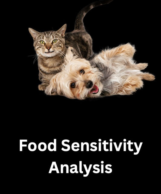 Pet Sensitivity and Intolerance Testing