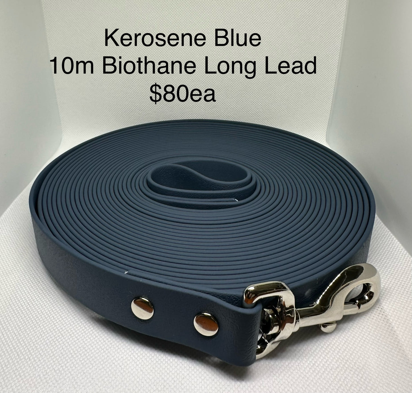 10m Biothane Long Lead