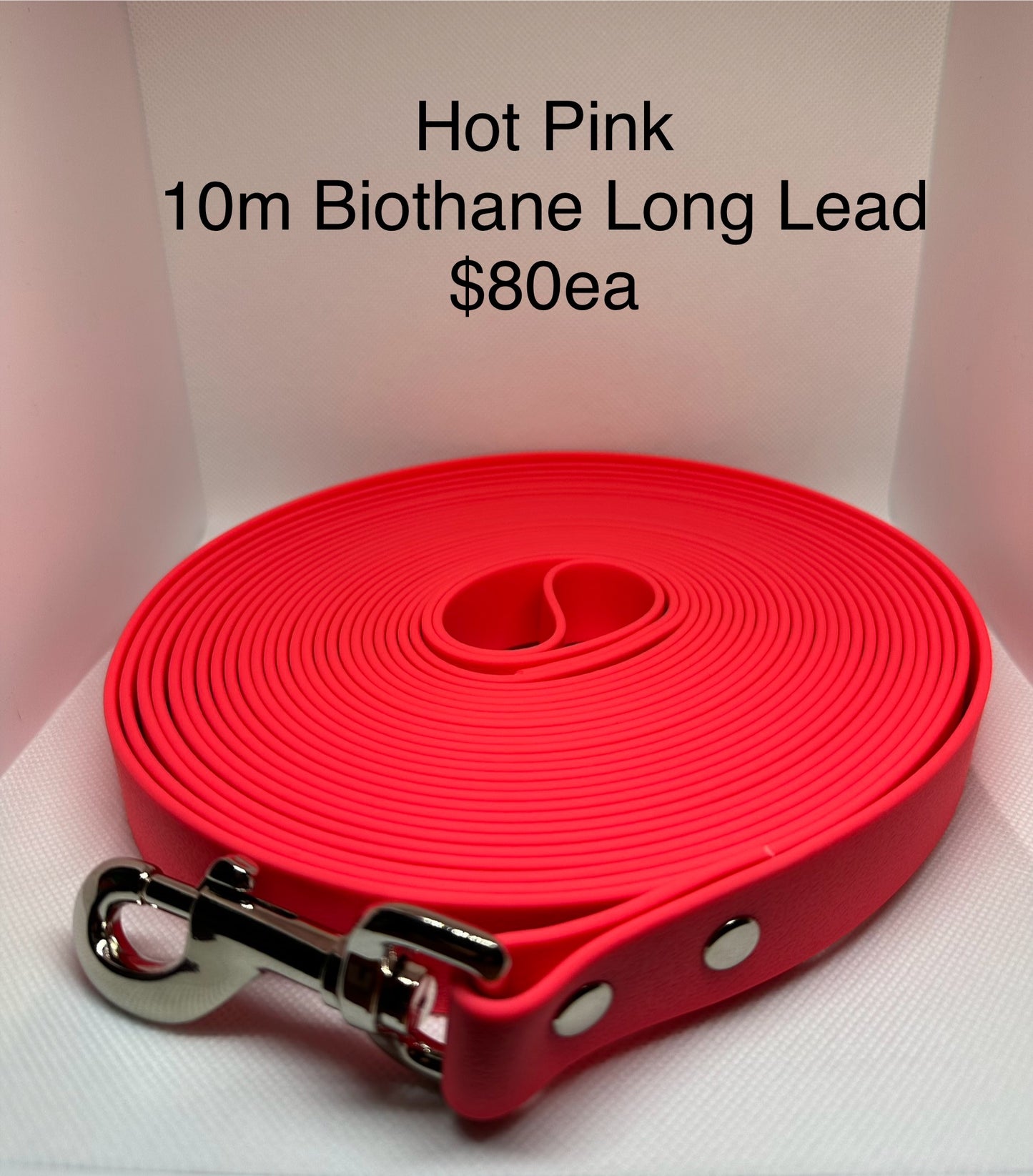 10m Biothane Long Lead