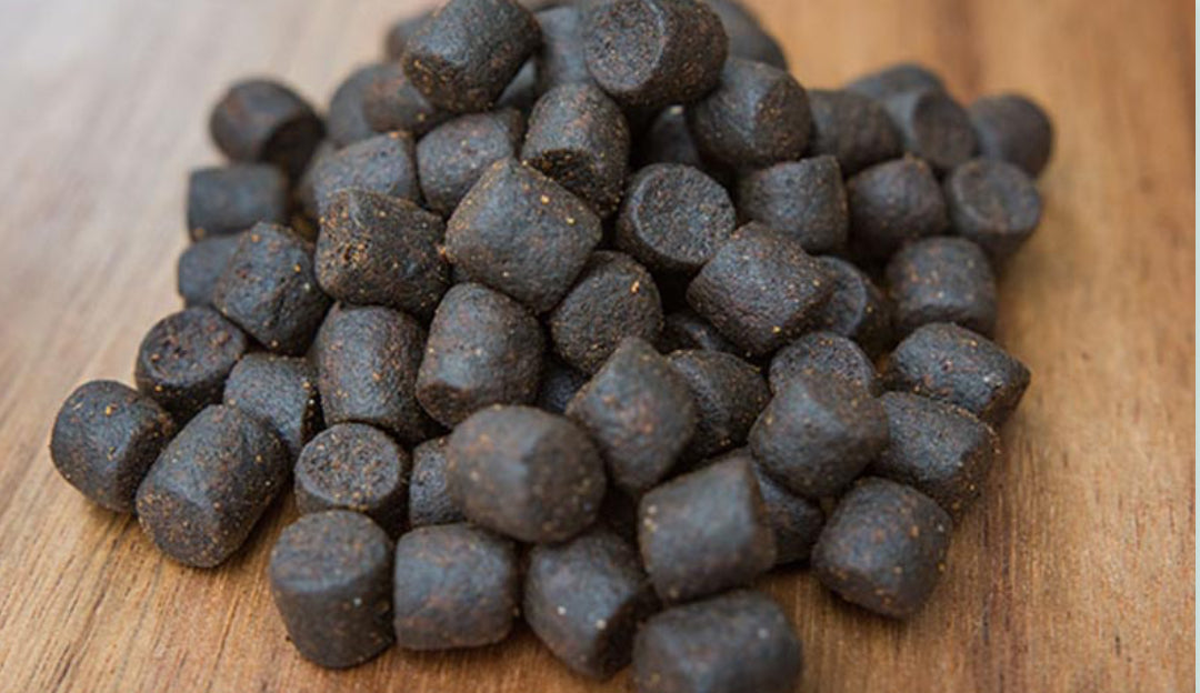 Fish Pellets 100g - Training Treat