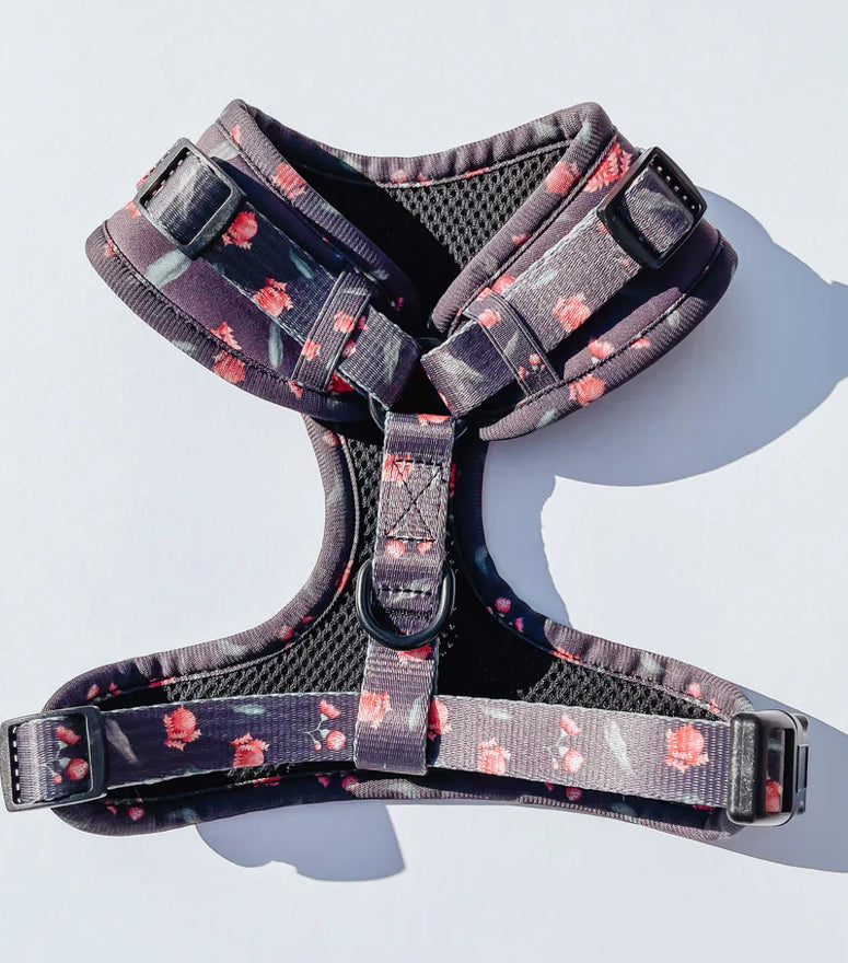 Banksia Bloom Harness