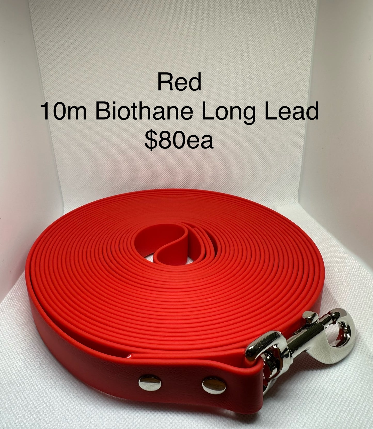 10m Biothane Long Lead